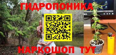стаф Чебоксары