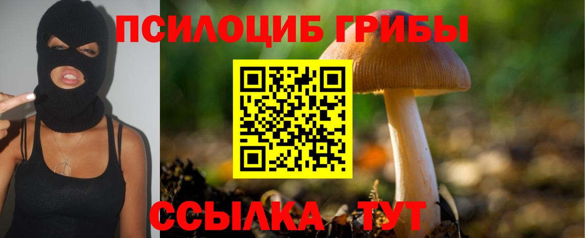 Псилоцибиновые грибы мухоморы  Псилоцибиновые грибы GOLDEN TEACHER  Михайловск  Вход с VPN 